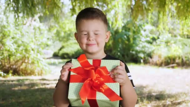 Подарок, подарок. Портрет. Маленький, милый мальчик держит в руках красиво завернутую коробку подарка, связанную красным бантиком. Улыбки. на открытом воздухе, в парке, в летний день — стоковое видео