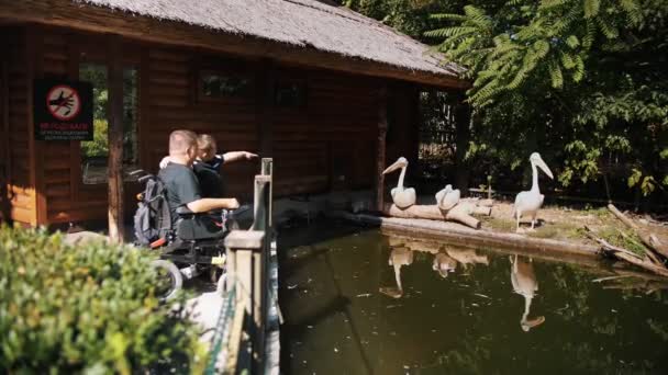 Dzień ojców. osoba niepełnosprawna. Tata i jego słodki synek odwiedzają zoo, spacerując razem w letni dzień. Tata używa wózków inwalidzkich. osoby o szczególnych potrzebach. — Wideo stockowe