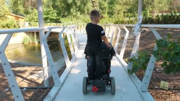 Vaderdag. persoon met een handicap. Papa en zijn zoontje lopen in het park, op zomerdag. Papa is een rolstoelgebruiker. Achteraanzicht. mensen met bijzondere behoeften. — Stockvideo