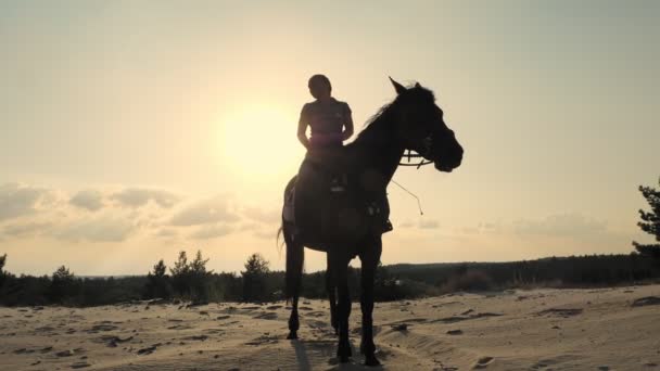 Ridning. Silhuett av ryttare och häst. ryttare rider en häst på sandig mark, vid solnedgången, mot sol bakgrundsbelysning och himmel bakgrund. Jämställdhet. — Stockvideo