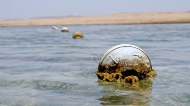 Dalgalar. Şamandıra. Yakın plan. Kızıldeniz sahili alçak gelgitte. Sudaki şamandıralar alçak gelgitte. Kalay pulu ve küçük yosun katırıyla kaplı bir şamandıra. Yosun ve ölü resif görülebilir..