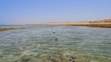 Dalgalar. Kızıldeniz sahili alçak gelgitte. Yosun ve ölü resif görülebilir..