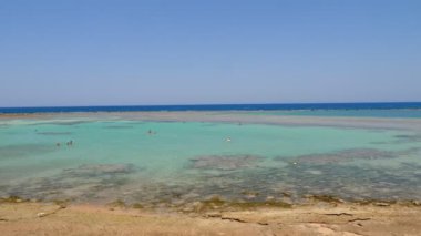 Dalgalar. Kızıldeniz sahili alçak gelgitte. Yosun ve ölü resif görülebilir..
