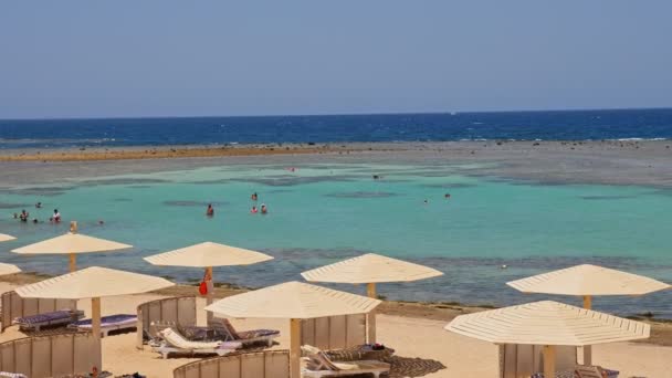 ホテル・トロピカル・ビーチ。太陽の傘。ビーチチェア。人々は傘とサンラウンジャーで砂浜で泳いだり日光浴をしたりします。干潮時だ。紅海沿岸。夏の暑い日 — ストック動画