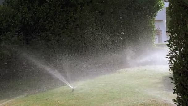 Irrigazione erba. Sistema di irrigazione del prato. irrigatore da giardino. sistema di irrigazione. irrigatori stanno lavorando, irrigazione erba prato in giardino. — Video Stock