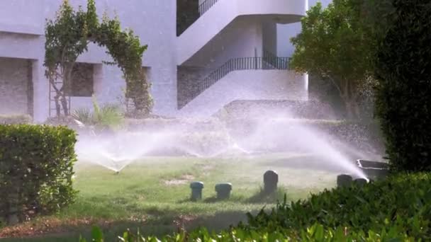 Rasenbewässerung. Rasenbewässerungssystem. Rasensprenger. Bewässerungssystem. Wassersprenger funktionieren, Rasenrasen im Garten gießen. — Stockvideo