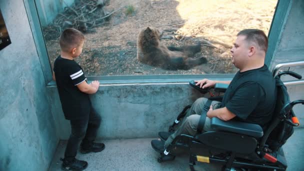 La fête des pères. personne handicapée. Papa et son petit mignon fils visitent le zoo, regardant les animaux dans les volières. Papa est un utilisateur de fauteuil roulant. personnes ayant des besoins spéciaux. — Video