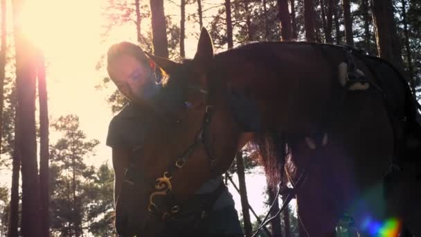 L'amour des chevaux. Silhouettes d'une jeune femme et de son cheval, au coucher du soleil, dans la forêt d'été. rétroéclairage. amitié entre l'homme et le cheval. Équitation. — Video