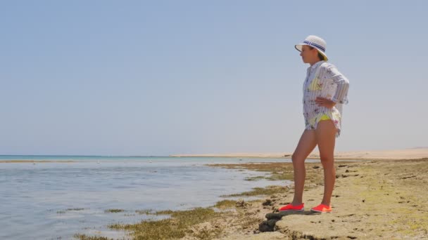 Apály. vörös tengerpart apálykor. alga és döglött zátony látható. Egy tinédzser lány áll a víz szélén, belenéz a távolba, megvizsgálja a tájat. forró nyári nap — Stock videók
