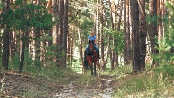 Верховая езда. Уравнивание. Молодая женщина, всадник едет на коричневой лошади в лесу, в летний солнечный день, в солнечных лучах. — стоковое видео