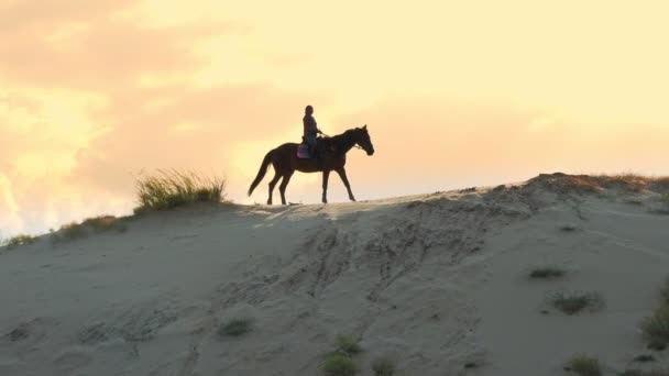 Montar a caballo. Equitación. Silueta de jinete, montando un caballo en una colina arenosa al atardecer, bajo los cálidos rayos del sol de verano. retroiluminación. — Vídeo de stock