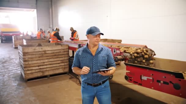 Raccolta delle patate. smistamento patate. agricoltore ispeziona la qualità della coltura di patate, utilizzando tablet digitale. smistamento e abbattimento delle patate operaie, su nastro trasportatore, sullo sfondo — Video Stock