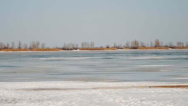 Paesaggio invernale. ghiaccio sul fiume. fiume ghiacciato, tutto coperto di ghiaccio e neve. — Video Stock