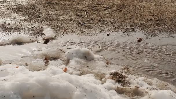 Disgelo primaverile. la neve si scioglie in una soleggiata giornata primaverile. primo piano. i corsi d'acqua, dalla neve che si scioglie, scorrono a terra. — Video Stock