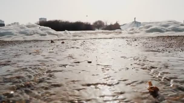 봄녹는다. 화창 한 봄날 눈이 녹는다. 클로즈업. 눈이 녹으면서 흐르는 물 이 땅에 흐르고 있다. — 비디오