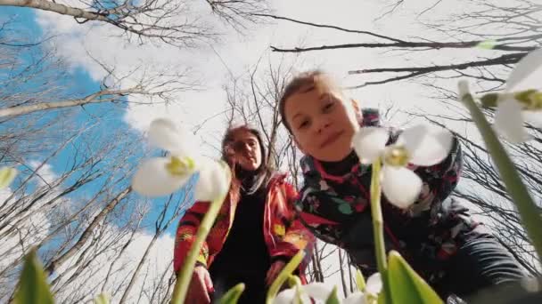 Gotas de neve na floresta. Floresta de primavera. gotas de neve floridas. turistas examinando gotas de neve florescentes. vista inferior. céu azul e galhos de árvores nuas fundo. início da primavera — Vídeo de Stock