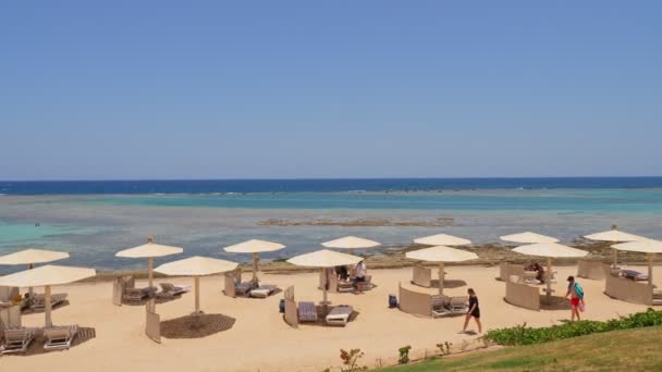 Hotelowa plaża tropikalna. Parasole przeciwsłoneczne. krzesła plażowe. ludzie pływają i opalają się na piaszczystej plaży z parasolami i leżakami. Przypływ. Wybrzeże Morza Czerwonego. letni gorący dzień — Wideo stockowe