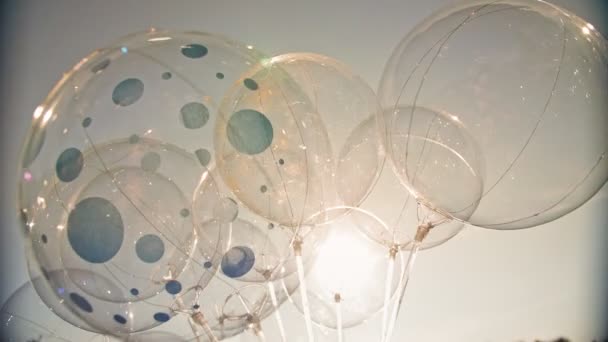 Globos. Primer plano. muchos globos transparentes están contra el cielo, en contraluz. — Vídeos de Stock