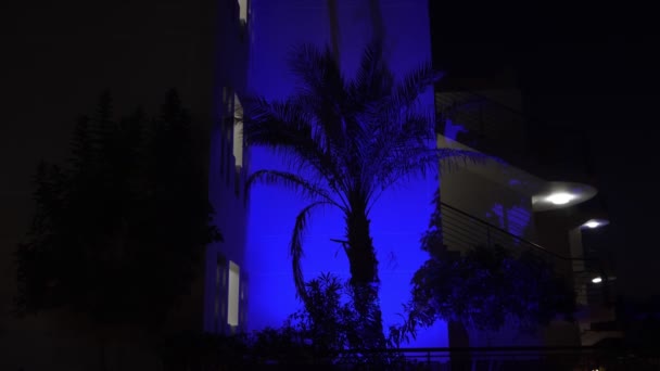 Palmy. silueta palmy, v noci, v zahradě hotelového komplexu, v modrém podsvícení — Stock video