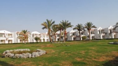 tropical landscape. hotel territory with palm trees, on the seashore. hot summer day.