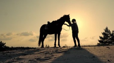 Ata binmek. At sevgisi. Genç bir kadın ve atının siluetleri, gün batımında, gökyüzünde arka planda ve güneş ışınları arka planda. İnsan ve at arasındaki dostluk. Eşitlik.