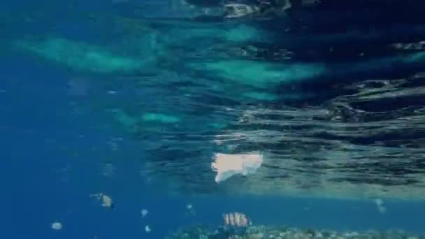 Ordures dans la mer. masque médical en mer. masques médicaux utilisés dérivent lentement sous l'eau dans les lumières du soleil. Rétro-éclairage. problème de pollution environnementale des ordures — Video