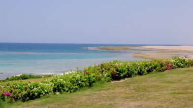 landscape. hotel territory, lawn, on the seashore. low tide on the beach of the red sea. hot summer day.