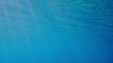 Su altı manzarası. Deniz yüzeyi. Yakın plan. berrak deniz suyunun mavi yüzeyi, güneş ışınları, ışınlar, hareketler, dalgalanmalar tarafından aydınlatılıyor. Yavaş çekim videosu