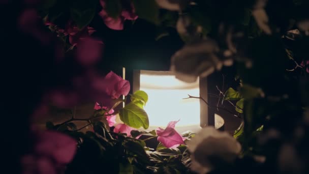 Solar powered garden lantern. low garden lantern shines brightly at night, highlighting the beautiful pink bougainvillea flowers in the garden. — Stockvideo