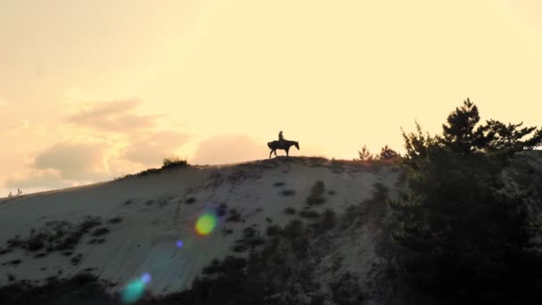 Jazda konna. Równowaga. Sylwetka jeźdźca jeździ konno po piaszczystym wzgórzu, górując nad sosnowym lasem, o zachodzie słońca, w ciepłych letnich promieniach słońca. zachód słońca niebo tło — Wideo stockowe