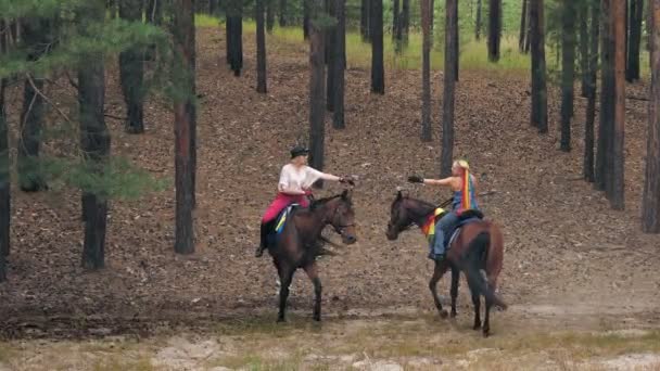 Lgbt. rainbow. same-sex love. young same-sex couple of lesbian women is engaged in joint hobby, horse riding. girlfriends are horseback riding through forest, having fun — Stock Video