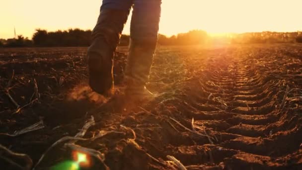 Bonde i støvler går over marken. Nærbillede. ben i landbrugsstøvler. friskpløjet landbrugsmark. ved solnedgang. baggrundsbelyst. Nederste billede – Stock-video