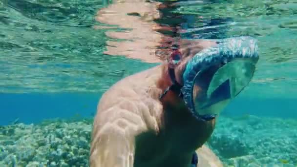 打喷嚏。游泳。跳水一个戴着潜水面具的男人，带着无数五彩斑斓的奇异珊瑚礁鱼在海底探索珊瑚礁。特写镜头. — 图库视频影像