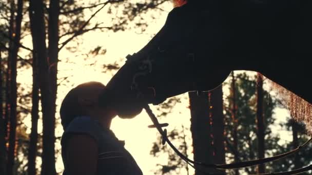 Amor de caballo. Siluetas de una joven y su caballo, al atardecer, en el bosque de verano. contraluz. amistad entre el hombre y el caballo. Equitación. — Vídeo de stock