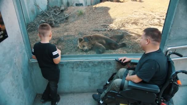 Pappadagen. person med funktionshinder. Pappa och hans söta son besöker djurparken och tittar på djur i aviarier. Pappa använder rullstol. personer med särskilda behov. — Stockvideo