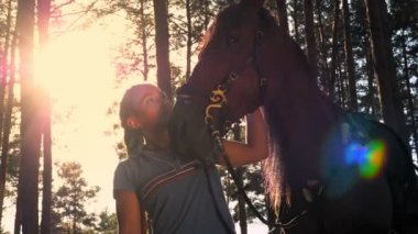 At sevgisi. Yaz ormanında, gün batımında genç bir kadın ve atının siluetleri. arka ışık. İnsan ve at arasındaki dostluk. Eşitlik.