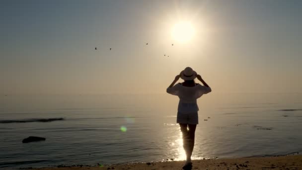 Dawn over the sea. silhouette of a young woman admiring the sunrise over the sea. Summer morning. — 图库视频影像