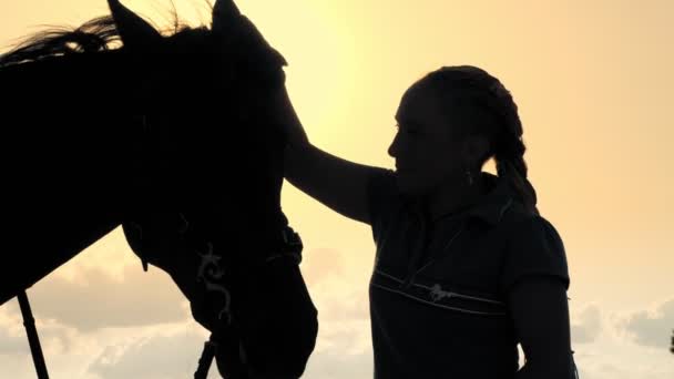Ata binmek. At sevgisi. Genç bir kadın ve atının siluetleri, gün batımında, gökyüzünde arka planda ve güneş ışınları arka planda. İnsan ve at arasındaki dostluk. Eşitlik. — Stok video