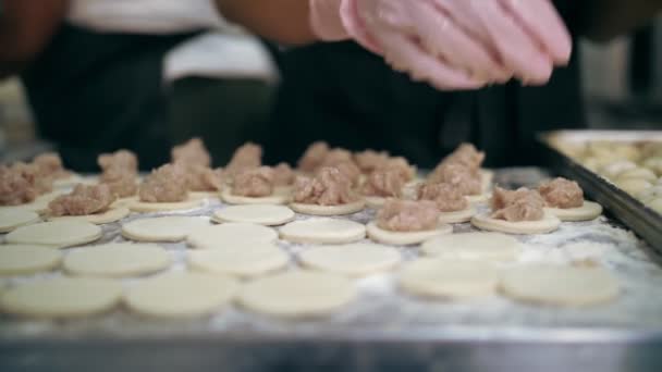 Полуфабрикаты. Готовить. крупным планом. Готовит руки выкладывают куски фаршированного мяса на тесто для приготовления пельменей, равиоли, пельмени. шведский стол кухня ресторана. — стоковое видео