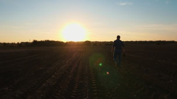 Farmářská silueta. Při západu slunce se člověk prochází po zemědělském poli. v podsvícení. zemědělství — Stock video