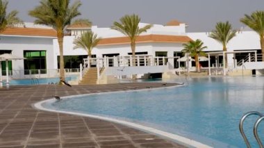 Yüzme havuzu, palmiye ağaçları, güneş şemsiyeli güneşlikler. Tropikal manzara. Martılar havuz kenarında kalabalık içinde oturmuş su içiyorlar. Otel kompleksi.
