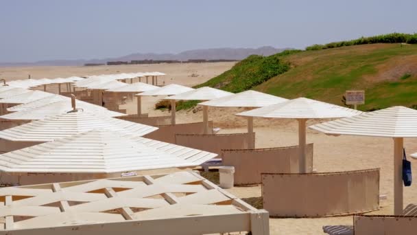 ホテル・トロピカル・ビーチ。太陽の傘。ビーチチェア。傘とサンラウンジャー付きの空の砂浜。紅海の海岸。夏の暑い日 — ストック動画