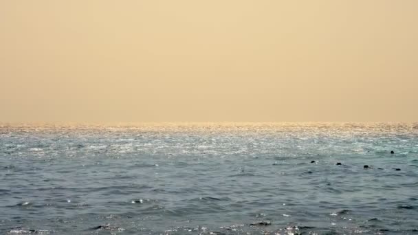 Zeegezicht. lucht en zee. golven in zonlicht, water schittert in de zon. zonnige dag op zee — Stockvideo