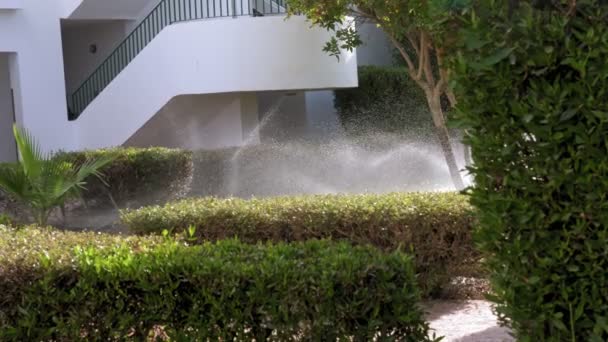 Irrigazione erba. Sistema di irrigazione del prato. irrigatore da giardino. sistema di irrigazione. irrigatori stanno lavorando, irrigazione erba prato in giardino. — Video Stock