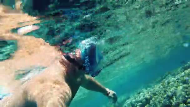 打喷嚏。游泳。跳水一个戴着潜水面具的男人，带着无数五彩斑斓、异国情调的暗礁鱼，正在海底探索珊瑚礁. — 图库视频影像