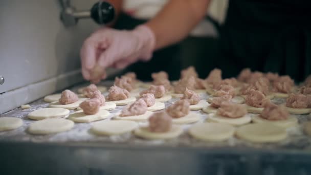 Semi-finished products. cooking. close-up. cooks hands lay out pieces of minced meat on dough for making dumplings, ravioli, pelmeni. buffet restaurant kitchen. — Stock Video