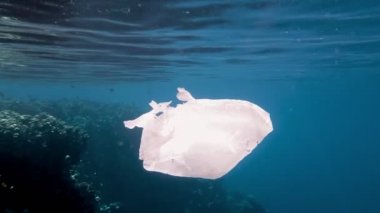 Denizde çöp. Denizin plastik kirliliği. Kullanılmış, beyaz plastik torba güneş ışığında yavaşça suyun altında sürükleniyor. Arka ışıklandırma. Plastik atık çevresel kirlilik sorunu