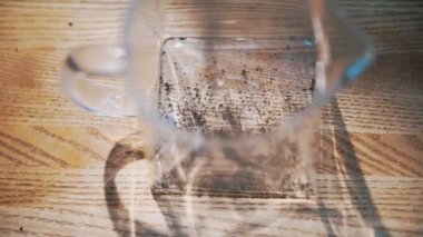 Bitki çayı. Yeşil çay içeceği. Bitki çayı demliyorum. Yakın plan. Ezilmiş kuru çay yaprakları cam çaydanlığa dökülür. Bitkisel sıcak içecek..