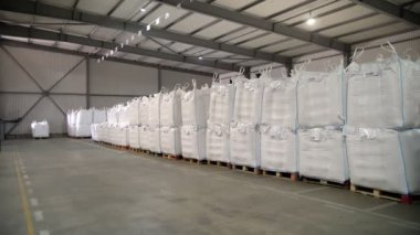 Tarım deposu. Depo. Torbalar dolusu mısır tohumu, tahıl. Tohum tedarik ve depolama için büyük bir tarım işletmesi deposu