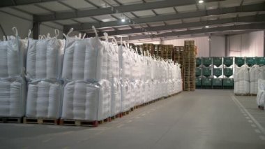 Tarım deposu. Depo. Torbalar dolusu mısır tohumu, tahıl. Tohum tedarik ve depolama için büyük bir tarım işletmesi deposu